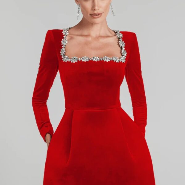 Imported Velvet Red Dress