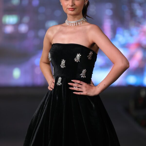 Premium Imported Velvet Off Shoulder Dress